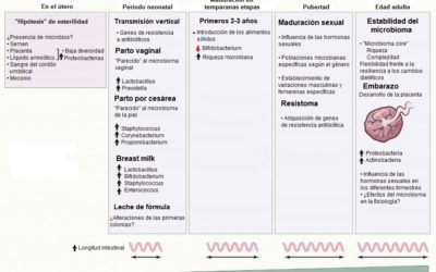 Microbioma humano, garantía de una vida saludable