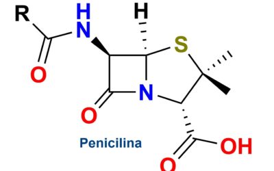 La penicilina, uno de los mayores inventos en la historia de la medicina