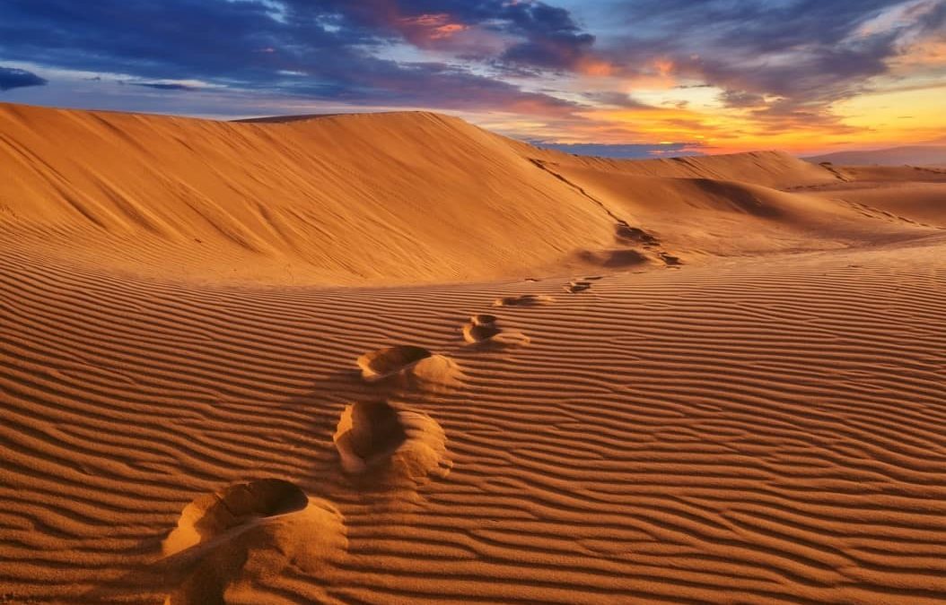 Desiertos naturales en el mundo vs desertificación