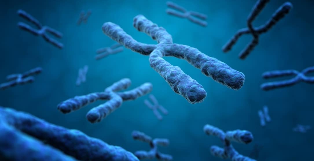 Enfermedades Genéticas Más Frecuentes Cuando Se Alteran Nuestros Genes Y Cromosomas 7994