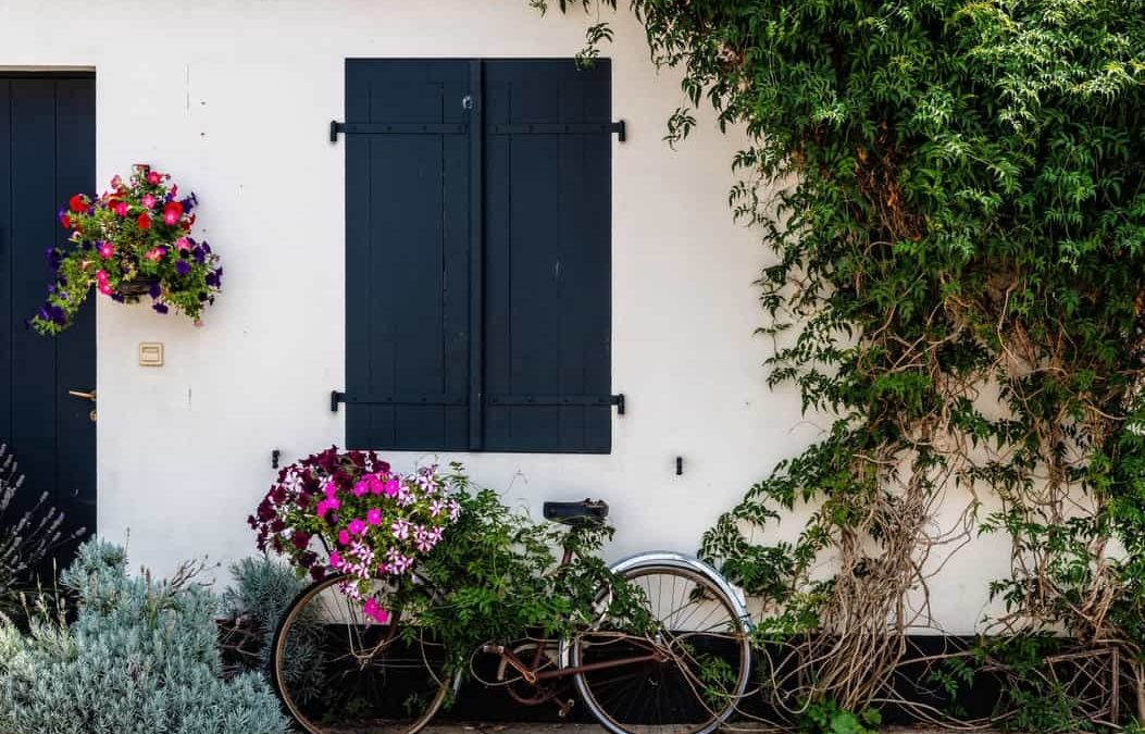 Tipos de flores: Conoce su impresionante variedad