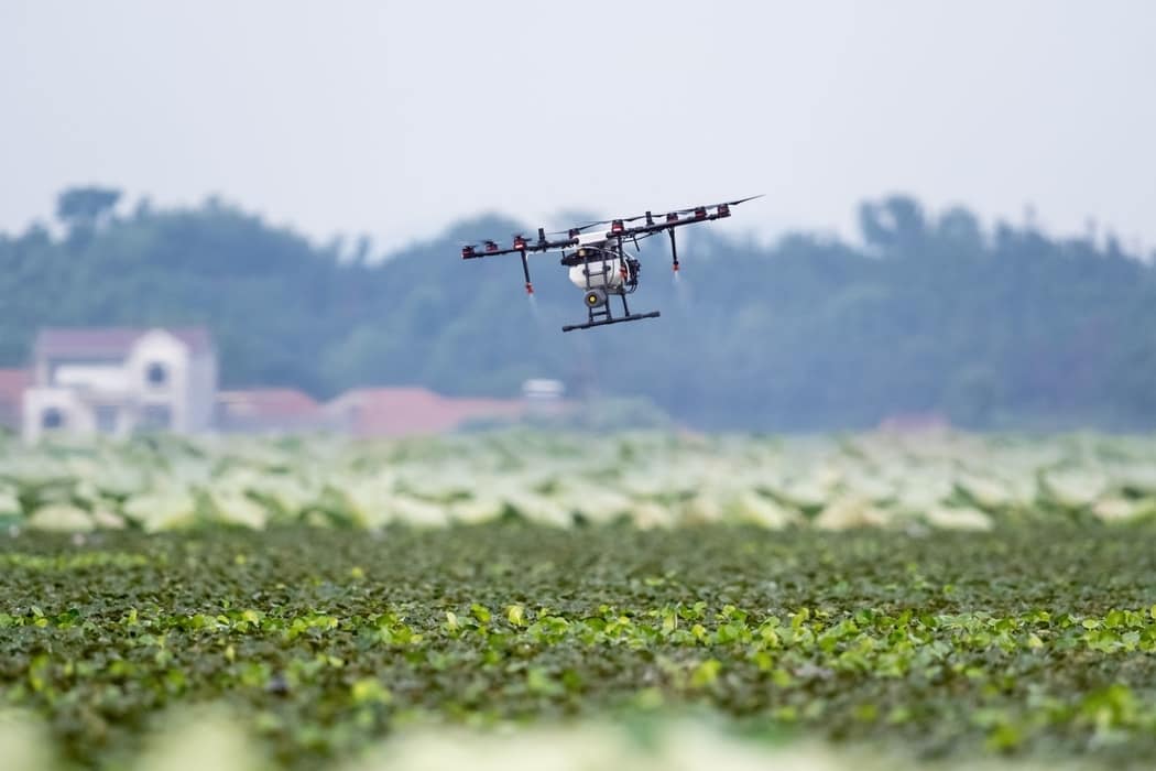 ¿Cómo Ha Sido La Evolución De La Agricultura En El Mundo A Través Del ...