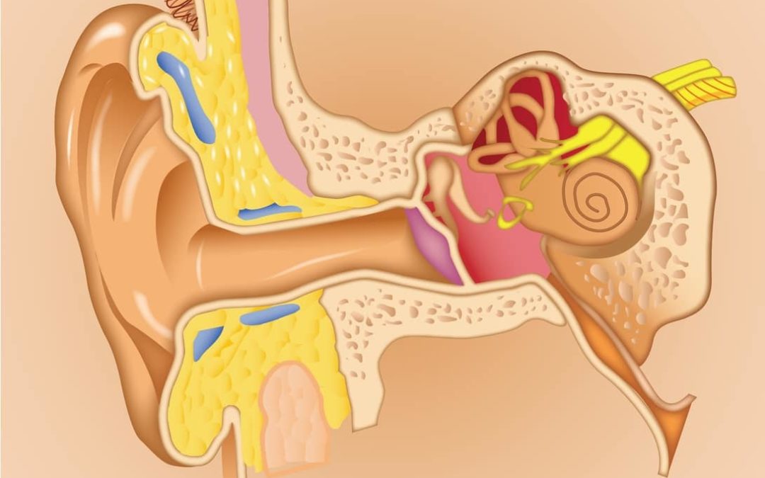 Conoce todo sobre el Síndrome de Ménière y sus posibles tratamientos